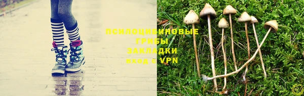 эйфоретик Алексеевка