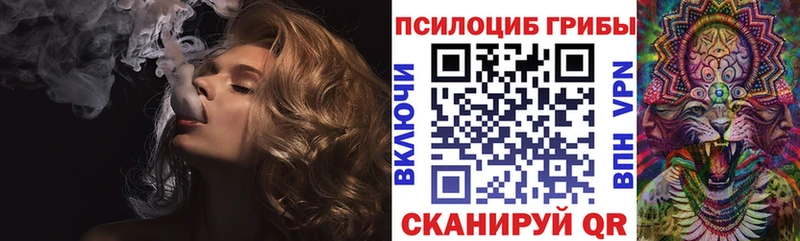 Псилоцибиновые грибы Cubensis  наркота  Кинель 