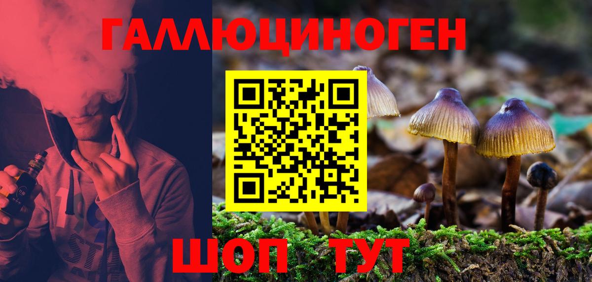 Псилоцибиновые грибы мицелий Кинель