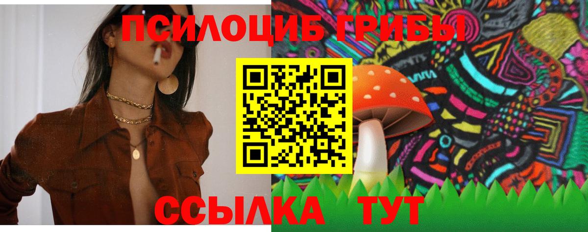 Псилоцибиновые грибы прущие грибы  Галлюциногенные грибы Psilocybe  Вход с VPN  Кинель 